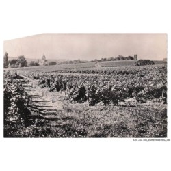 CAR-AGCP20-1120-51 - Champagne veuve clicquot-ponsardin - REIMS - Vignobles de villedommange près reims