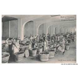CAR-AFPP6-0333-51 - EPERNAY - Moet et Chandon - Rincage des Bouteilles