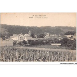 CAR-AAWP6-51-0411 - AVIZE - La vigne et les coteaux