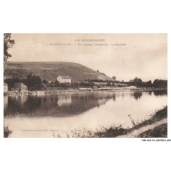 CAR-ACGP4-0239-51 - MAREUIL-SUR-AY - un paysage champenois - la bouteille
