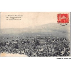 CAR-ABGP6-0616-51 - au pays du champagne, maison Moet et chandon - les vendages à Saran