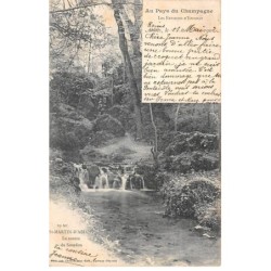 51 - ST MARTIN D ABLOIS - SAN37511 - Les environs d'Epernay - La source du Sourdon