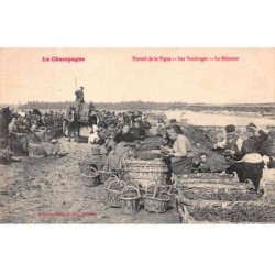 51 - LA CHAMPAGNE - SAN25476 - Travail de la Vigne - Les Vendanges - Le Déjeuner - Agriculture