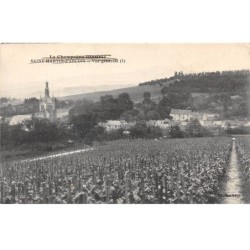 51 - SAINT MARTIN D ABLOIS - SAN27974 - Vue Générale