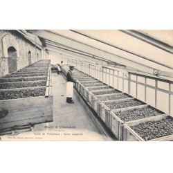 51 - MOET & CHANDON - SAN24259 - Ecole de Viticulture - Serre Tempérée - Agriculture