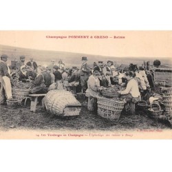 51 - BOUZY - SAN33225 - Champagne Pommery & Greno - L'Epluchage des Raisins - Vigne - Agriculture - Métier