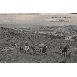 51 - CHAMPAGNE - SAN30678 - Le Travail de la Vigne - La Taille- Agriculture - Vigne - Métier