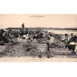 51 - CHAMPAGNE - SAN42408 - Les Vendanges - Le Déjeuner