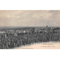 51 - MESNIL SUR OGER - SAN42407 - La Vendange - Moët & Chandon