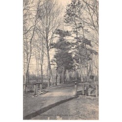 51 - WARMERIVILLE - SAN35678 - Le chemin noir