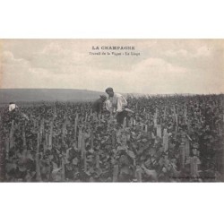 51-SAN59333-LA CHAMPAGNE.Travail de la Vigne.Le Liage.Agriculture.Vigne