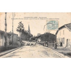51 - CHARMONTOIS L ABBE - SAN47499 - rue Principale sur laquelle le Porcher rassemble toutes les Truies du Villages ...