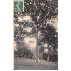 51 - GERMAINE - SAN47505 - la Forêt - Le Chêne entouré