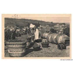 CAR-ACQP7-0435-51 - Scène de vendange à le MESNIL-SUR-OGER