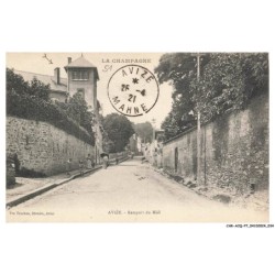 CAR-ACQP7-0415-51 - AVIZE - Rempart du midi