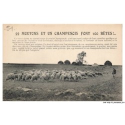 CAR-ACQP7-0405-51 - Moutons et un champenois font 100 betes