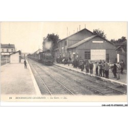 CAR-AAEP3-51-0253 - MOURMELON-LE-GRAND - la gare - Train