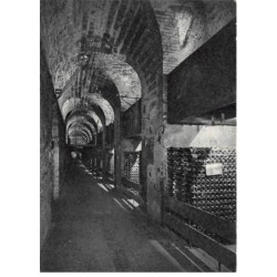 51 - EPERNAY - SAN49070 - Moët & Chandon - Vue des 32 Caveaux - Vins sur "lattes" - 15x10 cm