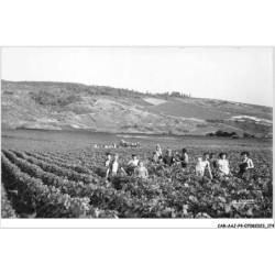 CAR-AAJP4-51-0367 - AY - LA CHAMPAGNE - scènes de vendanges