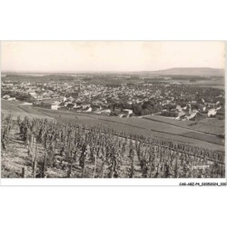 CAR-ABZP4-0260-51 - AY - vue panoramique