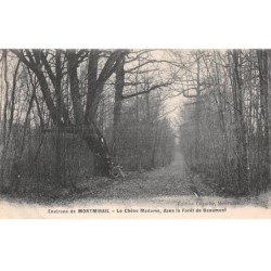 51 - MONTMIRAIL - SAN37476 - Le Chêne Madame, dans la forêt de Beaumont