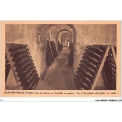 EMI-AAAP2-0195-51 - EPERNAY - champagne mercier - une des galeries avec bouteilles sur pupitres