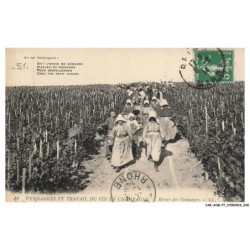 CAR-ACMP7-0520-51 - VENDANGES ET TRAVAIL DU VIN EN CHAMPAGNE - Retour des Vendanges