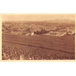 51 - REIMS - SAN29780 - Champagne Pommery & Greno - Vignoble d'Ay : Premier cru de raisins noirs