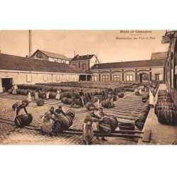 51 - REIMS - SAN44873 - Moët et Chandon - Manutention des Viens en Fûts - Vigne