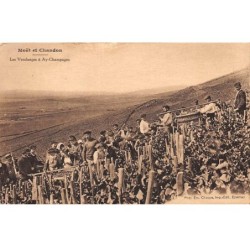 51 - REIMS - SAN44875 - Moët et Chandon - Les Vendanges à Ay Champagne - Agriculture - Vigne