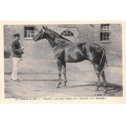61 - HARAS DU PIN - SAN30793 - "Mysarch" - Pur sang anglais - Par "Monarch" et "Mysinale"