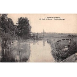 61 - BORDS DE L HUISNE - SAN24484 - La Perche - Prairies d'Elevage - Agriculture