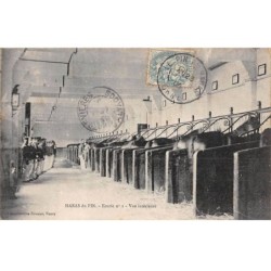 61 - HARAS DU PIN - SAN30795 - Ecurie n°1 - Vue Intérieure