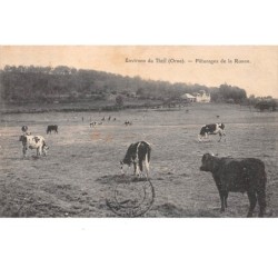 61. n°205798. environs du theil. pâturages de la ronce