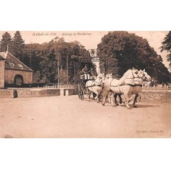 61 - HARRAS DU PIN - SAN25623 - Attelage de Percherons