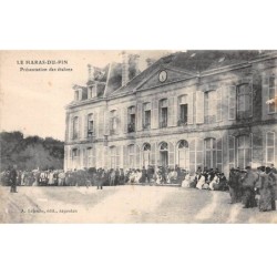 61 - LE HARRAS DU PIN - SAN53039 - Présentation des étalons
