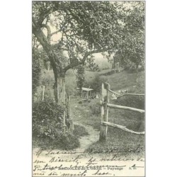 61.BAGNOLES DE L'ORNE.PAYSAGE