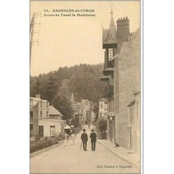 61.BAGNOLES DE L'ORNE.ROUTE DE TESSE LA MADELEINE