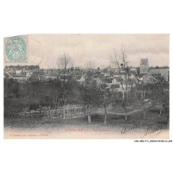 CAR-AEDP11-0707-61 - LE MERLERAULT - Vue générale