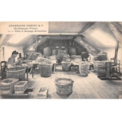51 - AY CHAMPAGNE - SAN30667 - Champigny & Co - Choix et marquage de bouchons - Agriculture - Vigne - Métier