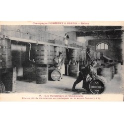 51 - AY - SAN33229 - Champagne Pommery & Greno - Mise en fût du vin nouveau - Vigne - Agriculture - Métier