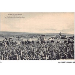EMI-AAAP2-0186-51 - EPERNAY - moet et chandon - les vendanges a le mesnil-sur-oger