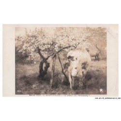 CAR-AFCP5-0234-PEINTRE - Salon 1910 - L-kemp-welch - Le début du printemps