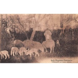80 - BEAUVAL - SAN32591 - Baby Phosphate Vétérinaire - Indispensable aux jeunes animaux - Métier