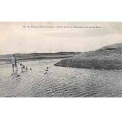 80 - n°72039 - La Chasse en Baie de Somme - Huttier posant ses Blettes devant la grande Hutte