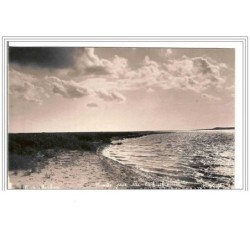 80.FORT MAHON.CONTRE JOUR SUR L'AUTHIE.CP PHOTO.