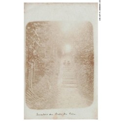 CAR_ACFP1-0068-80 - BOIS DE CISE - carte photo
