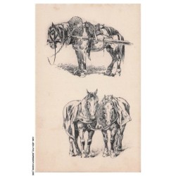 CAR-AEHP19-1048-ILLUSTRATEUR - VALETTE - Chevaux