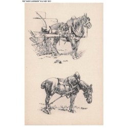 CAR-AEHP19-1046-ILLUSTRATEUR - VALETTE - Chevaux - Attelage