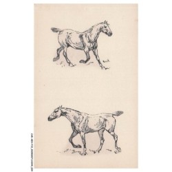 CAR-AEHP19-1045-ILLUSTRATEUR - VALETTE - Chevaux